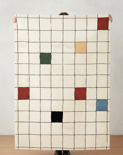 Color Plot Handtufted Rugs