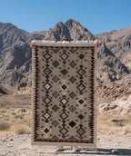 Modern Southwest Kilm Rugs