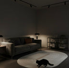 Morning Shadow Irregular Rugs