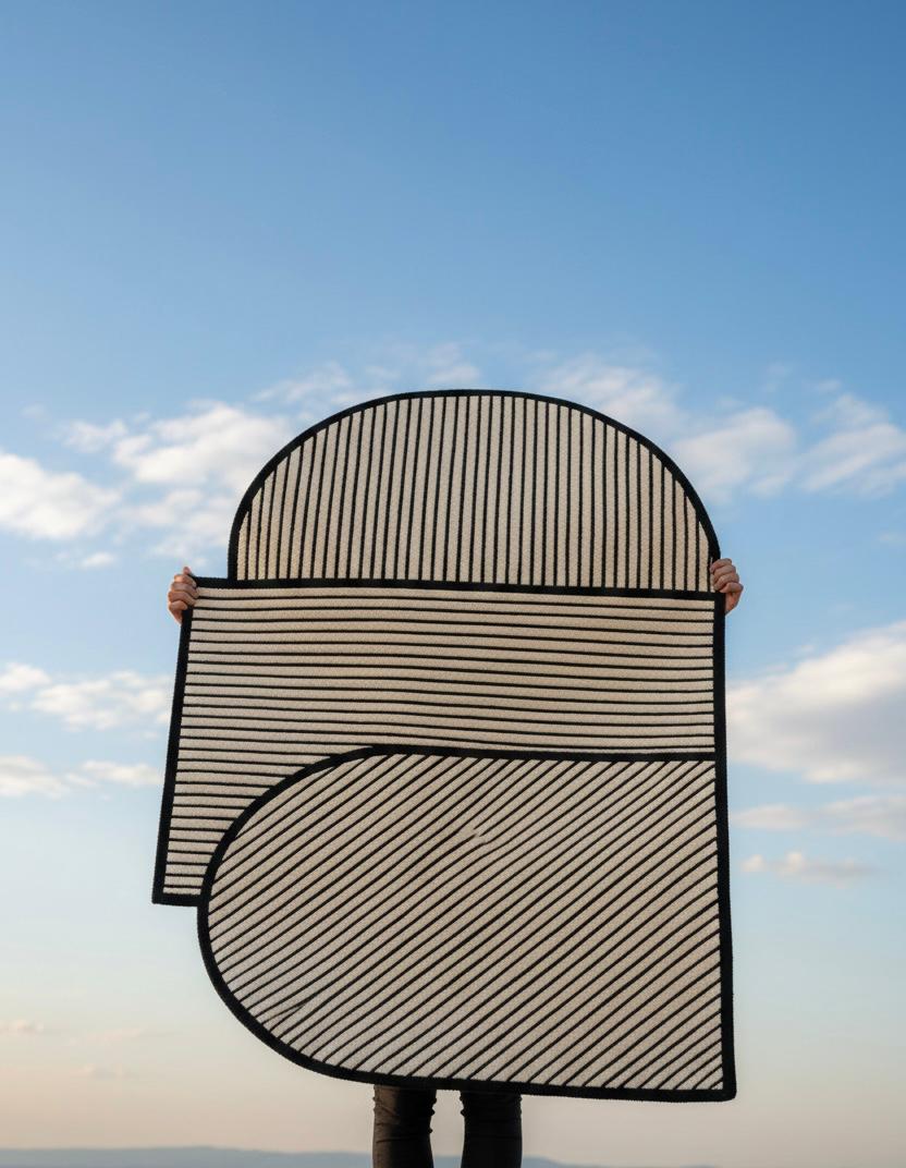The Zebra’s Blueprint Irregular Rugs